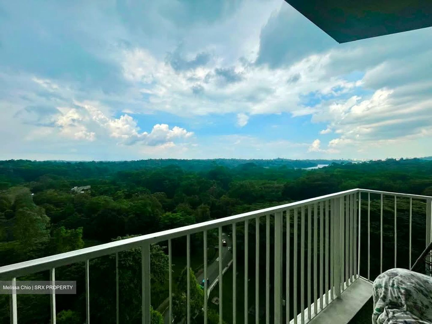 Tree House (D23), Condominium #550705791